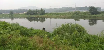 무료터 대물===청미천