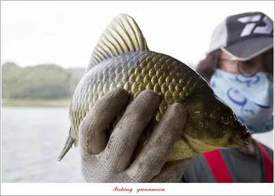 제일 낚시터..칠성지 조황..