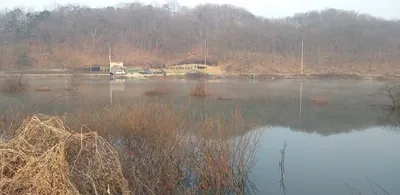 고삼지===노지에서 4짜급들이 올라옵니다