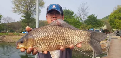 [고삼지] 흔해 빠진 4짜들