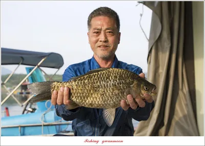 제일 4 짜 3 수..목벌 4 짜..한버들 4 짜 2 수  대물 조황..