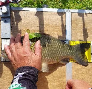 가을색 짙은 10월말의 조황안내 입니다.