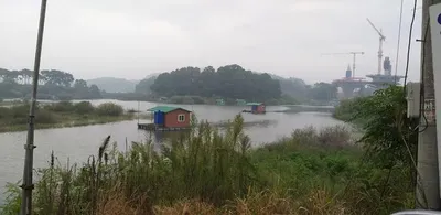 가을 붕어들이 유혹하는 고삼지