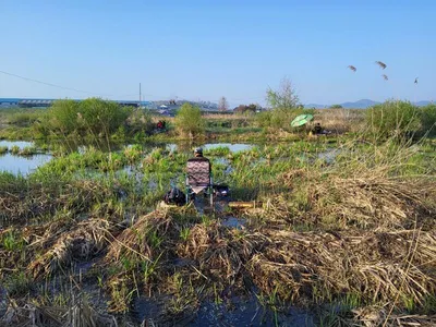 무료터 청미천==산란과 동시에 대물 움직임