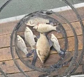 [사암지]오랜만에 인사드립니디ㅏ