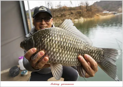 솔 4 짜 대물..한버들..돌감 좌대 연말 행사..