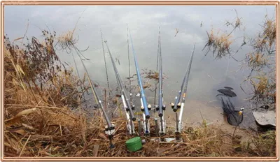 진위천 조황 소식