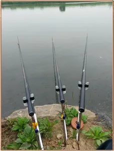 진위천 조황 소식