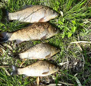 4월중순-지금부터 손맛볼 시기