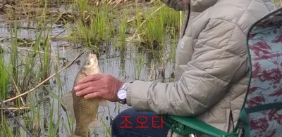 무료터 청미천--4짜는 연일 나옵니다