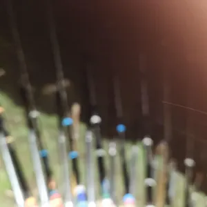 진위천 평택호 조황 