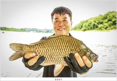 제일 낚시터 대박 조황..명서 낚시터 호조황..