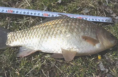 3월 마지막주-봄을품은 저수지 안내