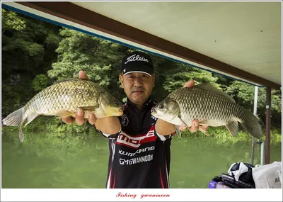 명서..사오리 주말 조황..