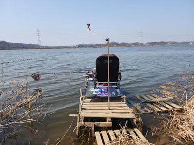 평택호 진위천 남양호 조황 소식