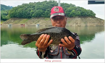 문골 39 cm 및 대물 조황..