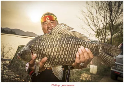 대제지 49 cm..매전지 45 cm..화곡지 4 짜 조황..