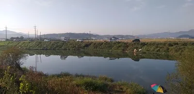 씨알좋은 붕어들---청미천