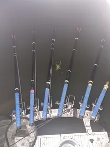 진위천 평택호 남양만 조황 소식