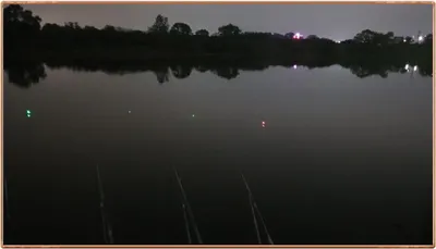 진위천 조황 소식