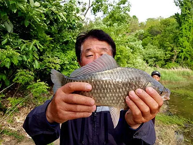 낚시하기 좋은때-5월 중순의 조황안내 입니다.