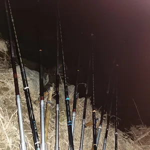 진위천 남양호 조황 소식