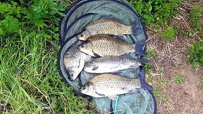 장마철 낚시-7월의 조황안내 입니다.