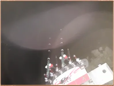 진위천 조황 소식