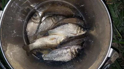 [청미천] 전경입니다