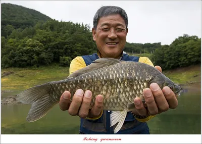 목벌 42 cm..42 cm..39 cm..38 cm ..대물 조황..