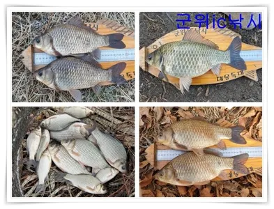 군위권 봄시즌 시작 ~~