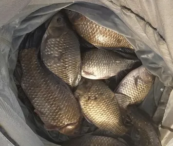 무료터---청미천 대물들