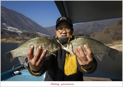 솔 월척..한버들 월척 조황..