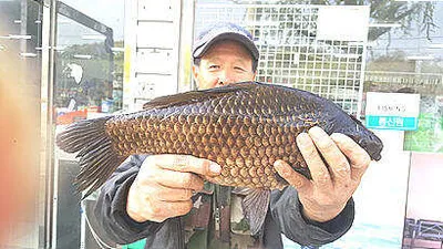 무르익는 시즌, 4월중순의 조황안내 입니다.