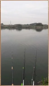 진위천 조황 소식