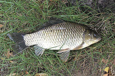 가는 가을을 아쉬워 하며......