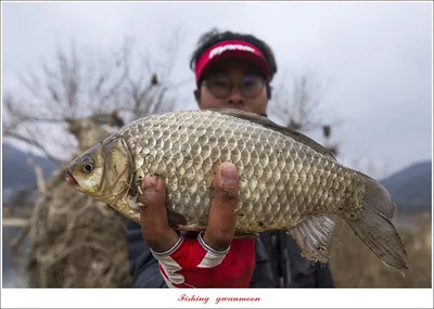 달천강..화곡지..칠성지..매전지..중산지..충주호 현황..