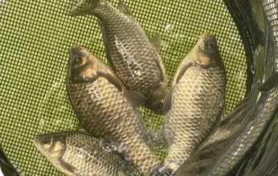 사암(용담낚시터)지--조용하게 해빙중