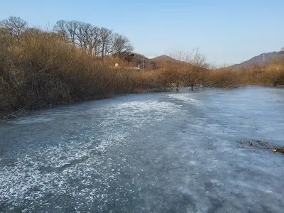 고삼지ㅡ얼음낚시 비추