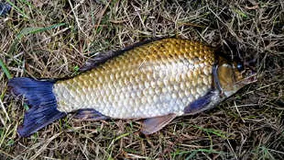 가을의 어디쯤 에서.....