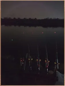 진위천 조황 소식