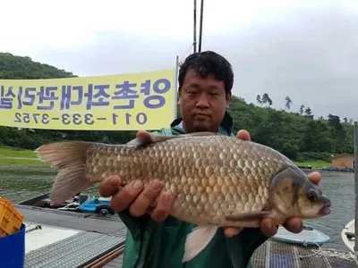 [고삼지] 오름수위를 보이면서 4짜들이