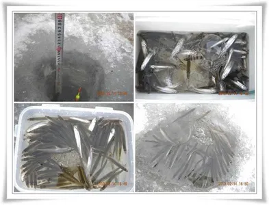 군위권 빙어낚시 ~~