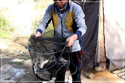제철 맞은 경산권 조황 안내