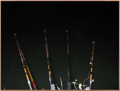 진위천 조황 소식