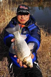 대물붕어를  .....