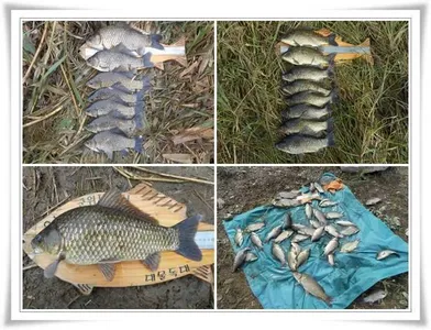 지난 초대박조황 보고서 ~~