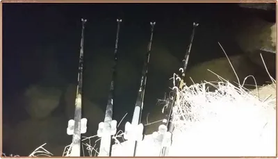 진위천 조황 소식