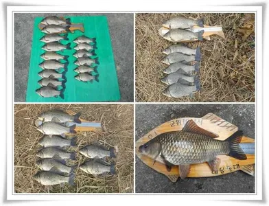 이제는 대어들이 ~~