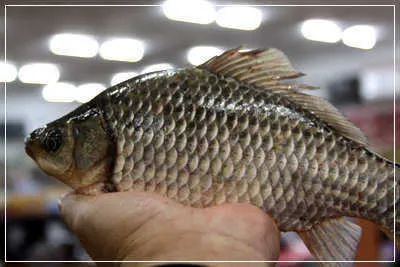 13년 겨울을 맞으면서.